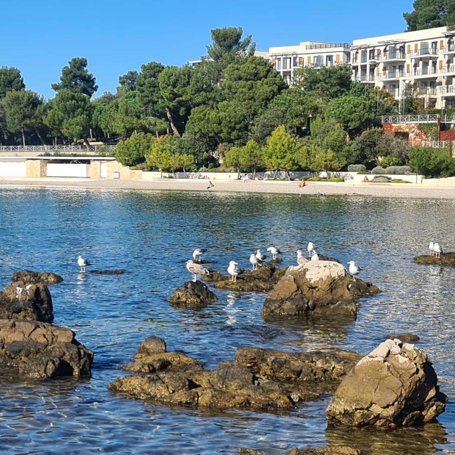 Vila Tena Rovinj Croatia Екстер'єр фото