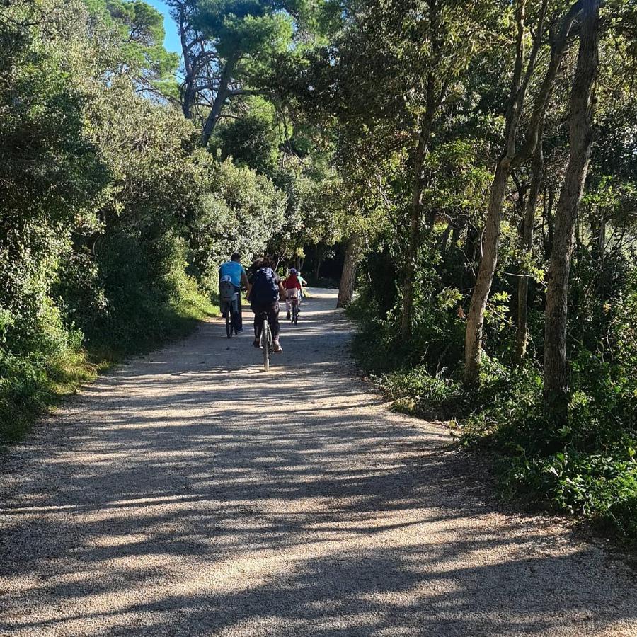 Vila Tena Rovinj Croatia Екстер'єр фото
