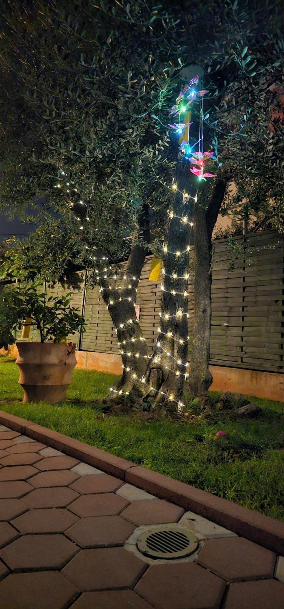 Vila Tena Rovinj Croatia Екстер'єр фото